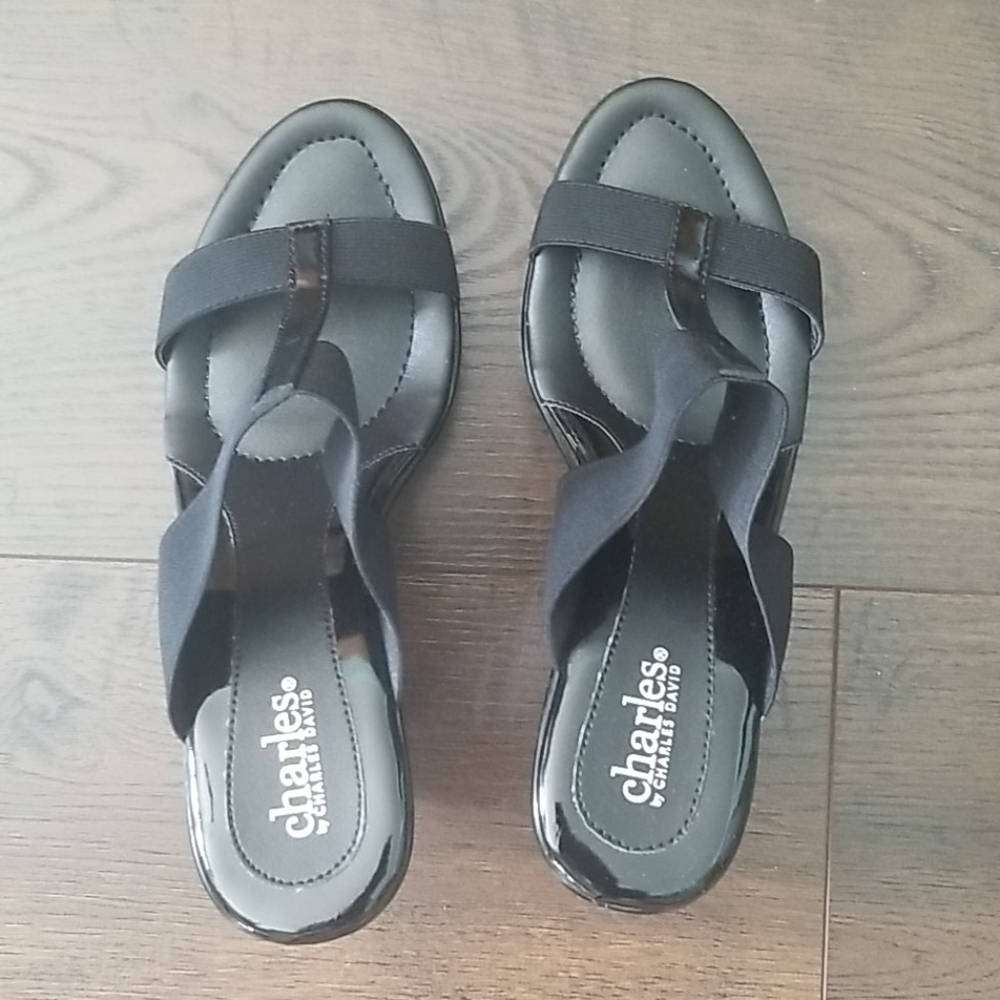 New Charles David wedges